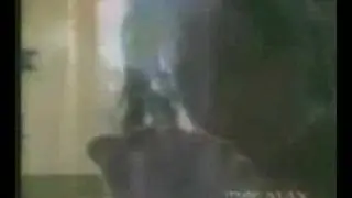Stop Your Fussin - Toni Childs