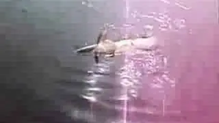 Щука на реке Днепр