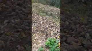 от Михайловны (упор на огород)