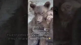 Наши реквизиты: Банк: Сбербанк Номер счета: 2202 2062 2645 0125Счет заведен на имя: Игорь Юрьевич