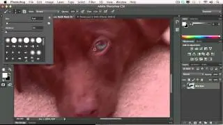 Adobe CS6 Design Web Workflow 2012 Raster Image Editing with Photoshop 05  Using Advanced Selection