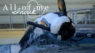 Inouk - All of me ♥