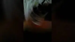 Фокус з 4-ма королями та дамами