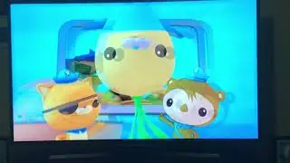 Octonauts Creature Report Tiger Shark