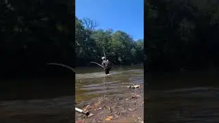 Takedown of the Year Nomination