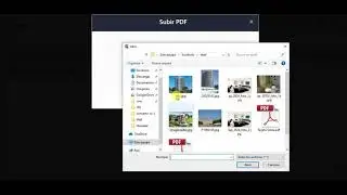 Adjuntar PDF