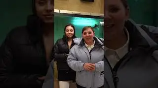 Винни Пух и Пятачок в гостях у КРОЛИКА| Прикол