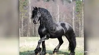 Туса гожонаса 2022