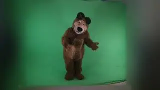 медведь танцует на зеленом фоне, хромакей, футаж