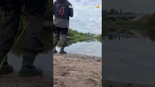 Щука хватает окуня, микроджиг