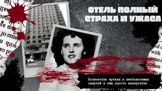 Страшные истории. ОТЕЛЬ СЕСИЛ. Жуткое место в Лос-Анджелесе.