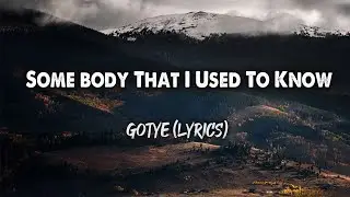 Some body That I Used To Know - Gotye (Lyrics)