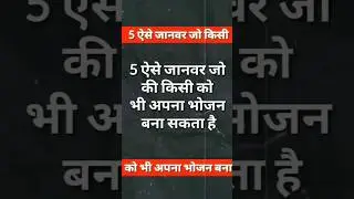 5 ऐसे जानवर जो की किसी को भी अपना भोजन बना सकता है 🔥 #facts #shortsfeed #shorts #factshorts #viral