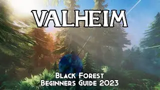 VALHEIM Beginners Guide - Black Forest 2023