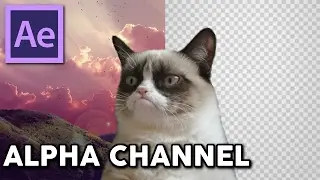 Alpha Channel | Adobe After Effects