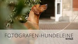 Fotografen-Hundeleine "NYMA"