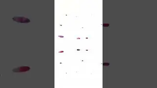 Открытое занятие в младшей группе «Детки Конфетки» Воспитатель Камила Алипашаевна