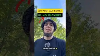 ВЕНГАЛБИ ДАЛ БОКОМ НА М5 КС ТАМАЕВ