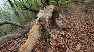 운길산역-세정사-운길산-수종사
