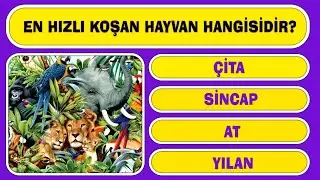 18 SORULUK BİLGİ TESTİ | Kaçını Bileceksin?
