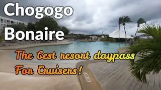 Chogogo Bonaire! A Great Resort offering cruise day passes!