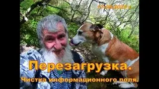 Перезагрузка и чистка информационного поля