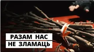2020 11 07 Вместе НАС не сломить! Солидарность - ЕДИНСТВЕННЫЙ выход