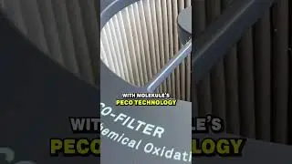 Do you NEED an air purifier?