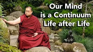 Our Mind is a Continuum Life after Life (with subtitles)