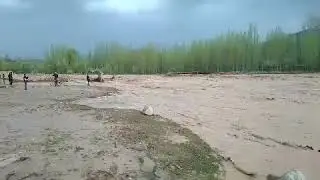 YAKKABOG' SAMOQ QISHLOQ KUCHLI SEL