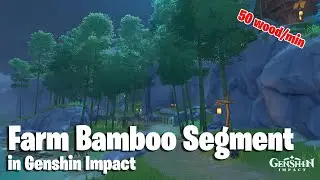Where to find Bamboo Segments (Best Farm Route) | Genshin Impact