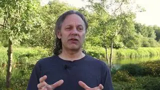 Work with Mark Wingfield on your next jazz album