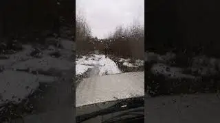 Лебедимся 