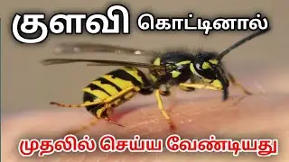 குளவி கொட்டினால் முதலில் செய்ய வேண்டியது | KULAVI KOTTINAAL MUTHALIL SEIYA VENDIYATHU | BEE BITE