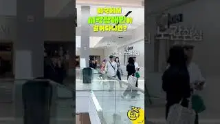 [1편 비하인드] 미국에서 시각장애인이 걸어다니면? #미국 #이민 #장애