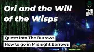 Ori and the Will of the Wisps Walkthrough: INTO THE BURROWS | Stone Notations | Midnight Borrows
