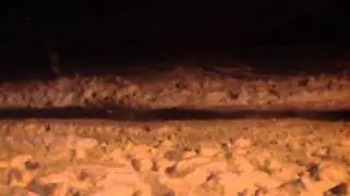 Студенты играют в снежки.