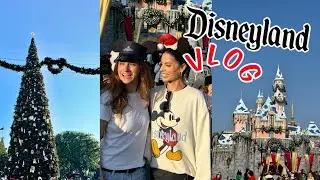 Going to Disneyland with the entire family vlog