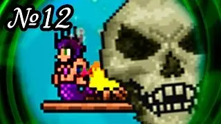Terraria Zadrotia Expert // СКЕЛЕТРОН И КОРОЛЕВА ПЧЕЛ [12]