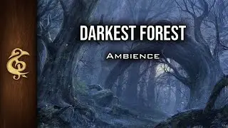 Darkest Forest | Adventure Ambience | 1 Hour 
