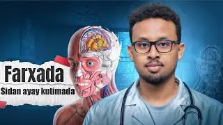 1% Sida Loo Helo Xasilooni Nafeed - SIRTA FARXADA - Yasir Mukhtar 2024