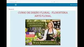 Curso de Diseño Floral