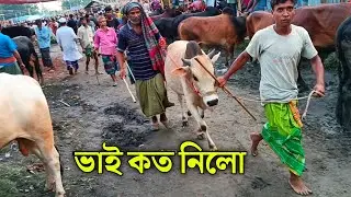 Bhai koto Nilo || Sirajganj Boalia Gorur hat 2024-Part 14 || Qurbani Cow price in Bangladesh