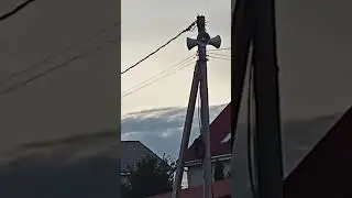 Псы войны