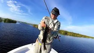 Fellsmere Headwaters Lake, 10 Days In
