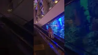 Inside Burj al arab 7star Hotel Dubai
