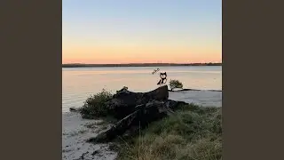 Who