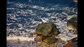 Wir wünschen Euch einen schönen Feiertag aus dem Ostseebad Kühlungsborn