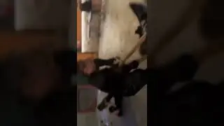 мой тгк: Dima Vo