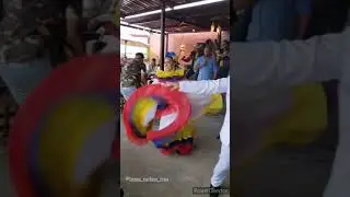 Brasa carbon y leña Panamá. La chorrera